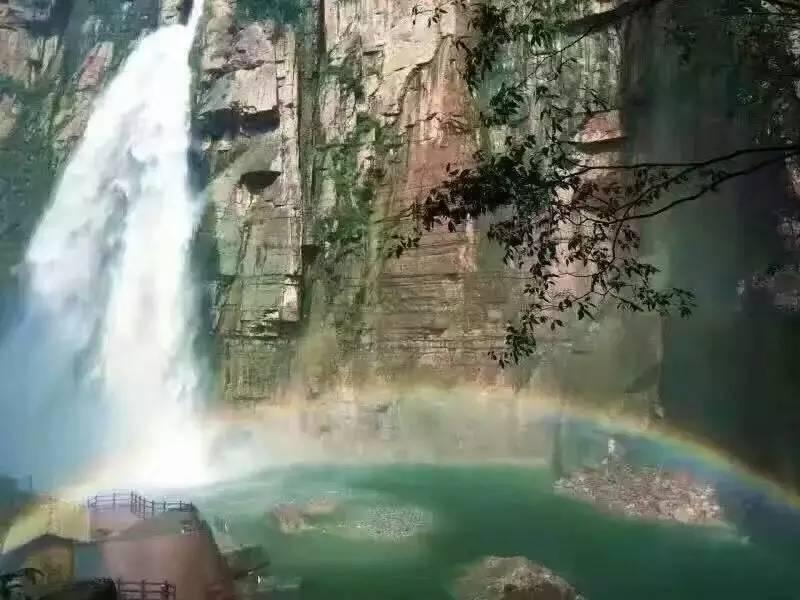 哈尔滨动物火出圈,白狐太累,羊驼调皮,我却笑死在网友评论区里